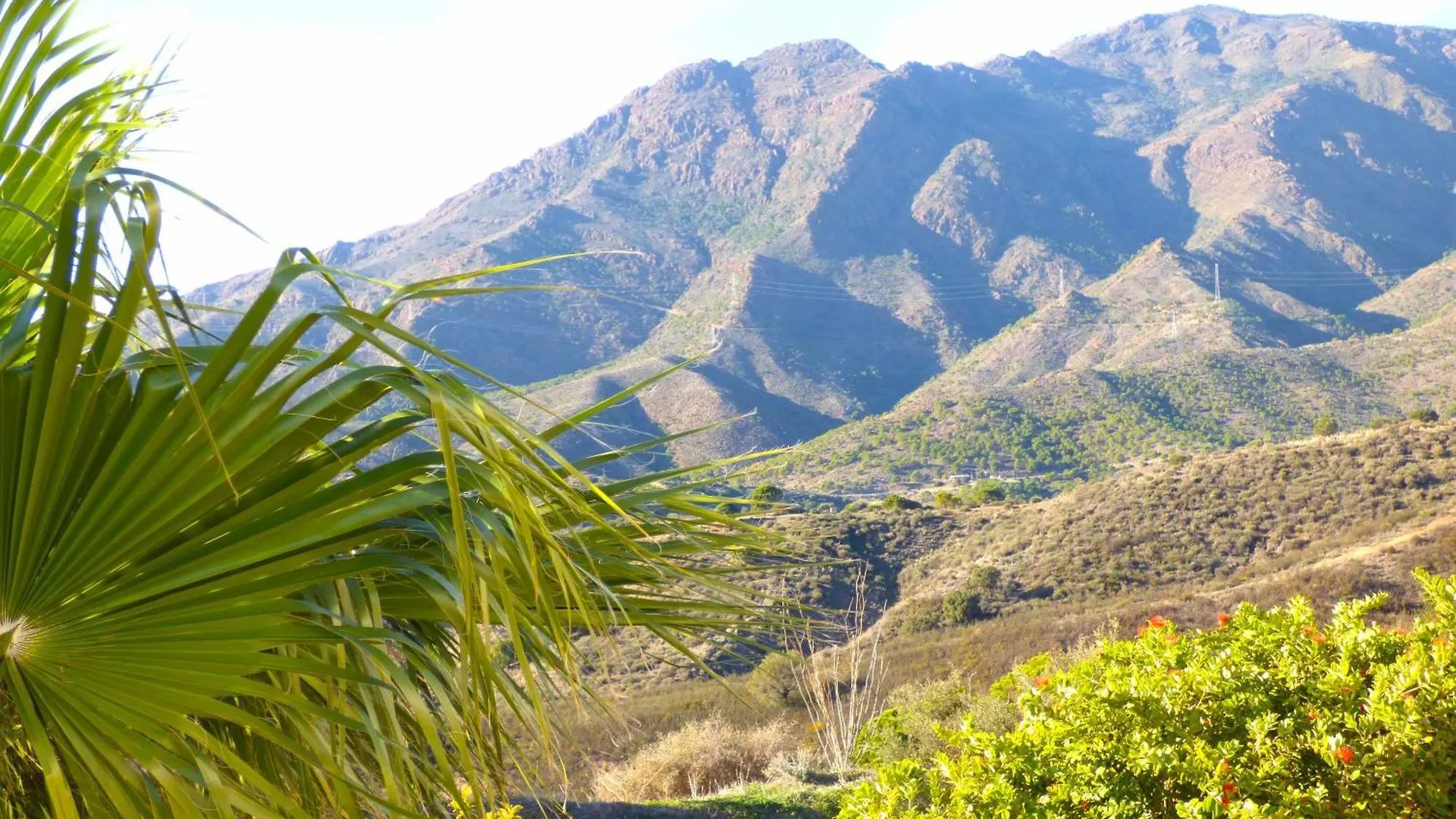 Selecta Casa Blanca Estepona Villa